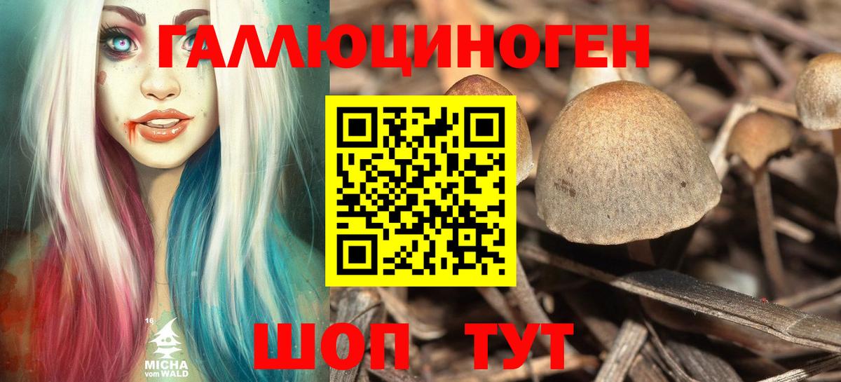 Псилоцибиновые грибы прущие грибы  Галлюциногенные грибы MAGIC MUSHROOMS  Вход с VPN  Кольчугино 